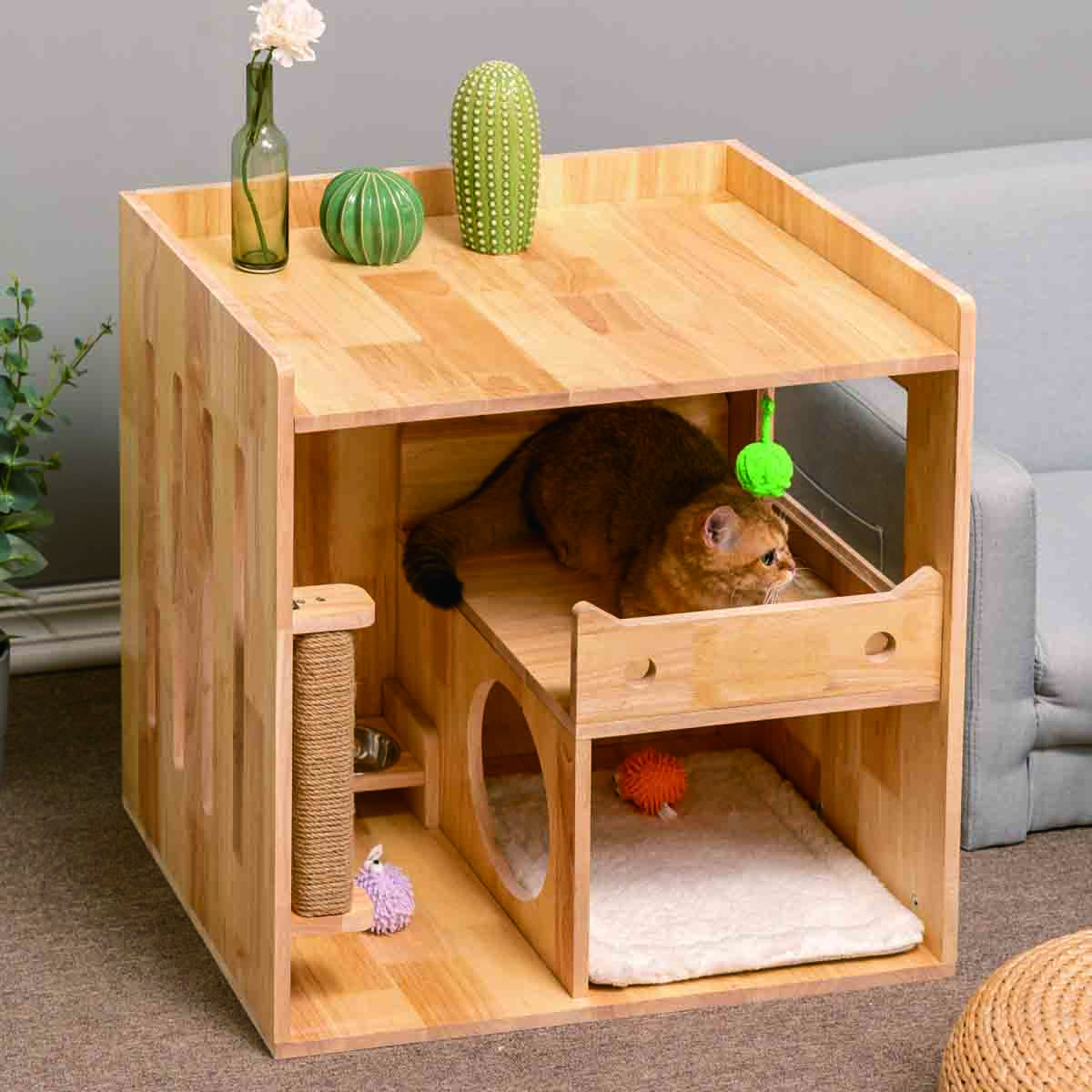 Is it too much to expect my cat to play with me every 10 minutes?
