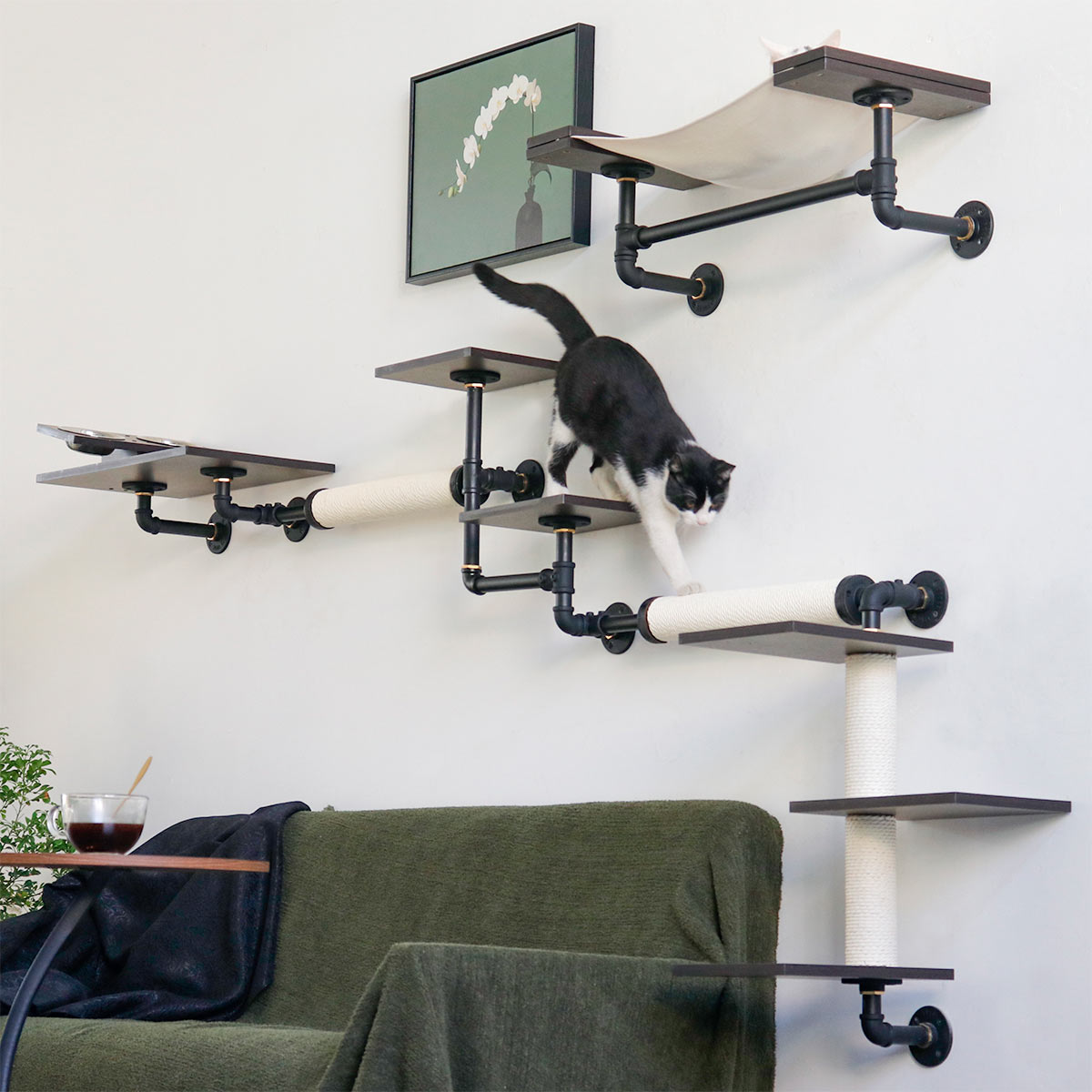Smoky Rubber Wood Cat Shelves | Premium Wall-Mounted Cat Furniture Set