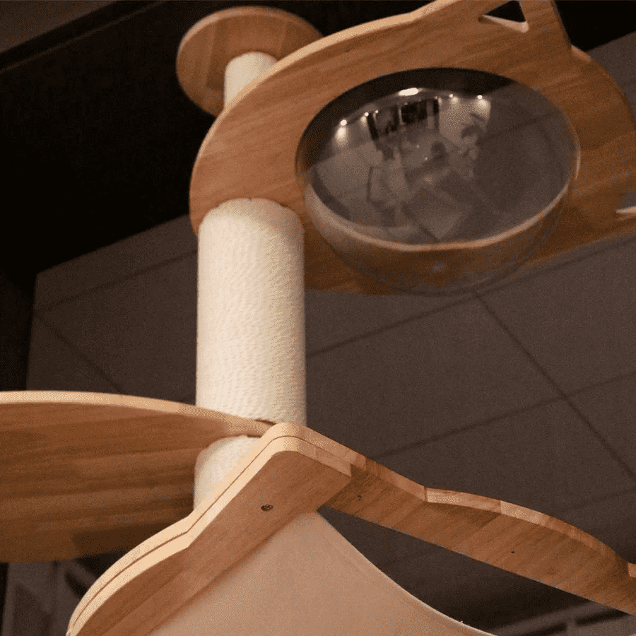 PETOMG Adjustable Floor to Ceiling Cat Tree | Modern Cat Tower for Large Cats