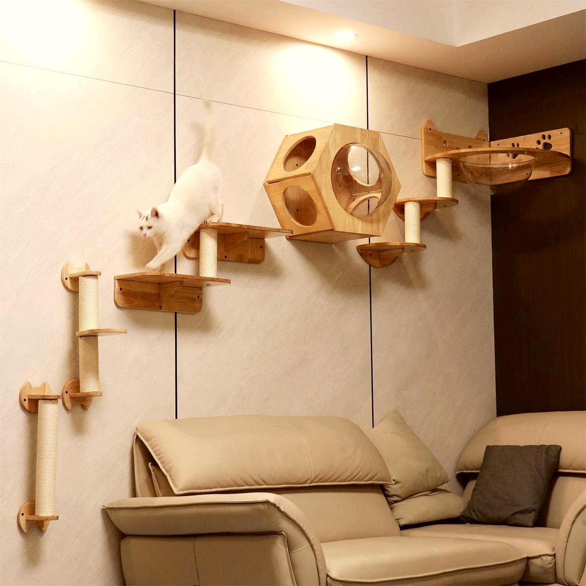 Cat Perch, Wall Mounted Spacecapsule (Corner), Cat Shelf | PETOMG – Petomg