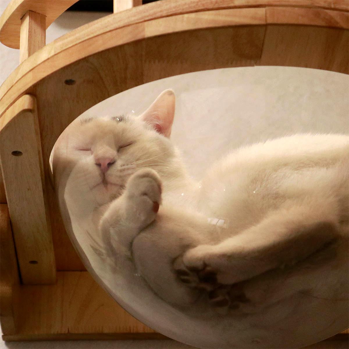 Wall-Mounted Cat Wall Set, Corner Cat Bed, Cat Climbing System, Cat Wall Shelves, Suitable for Modern Home Design