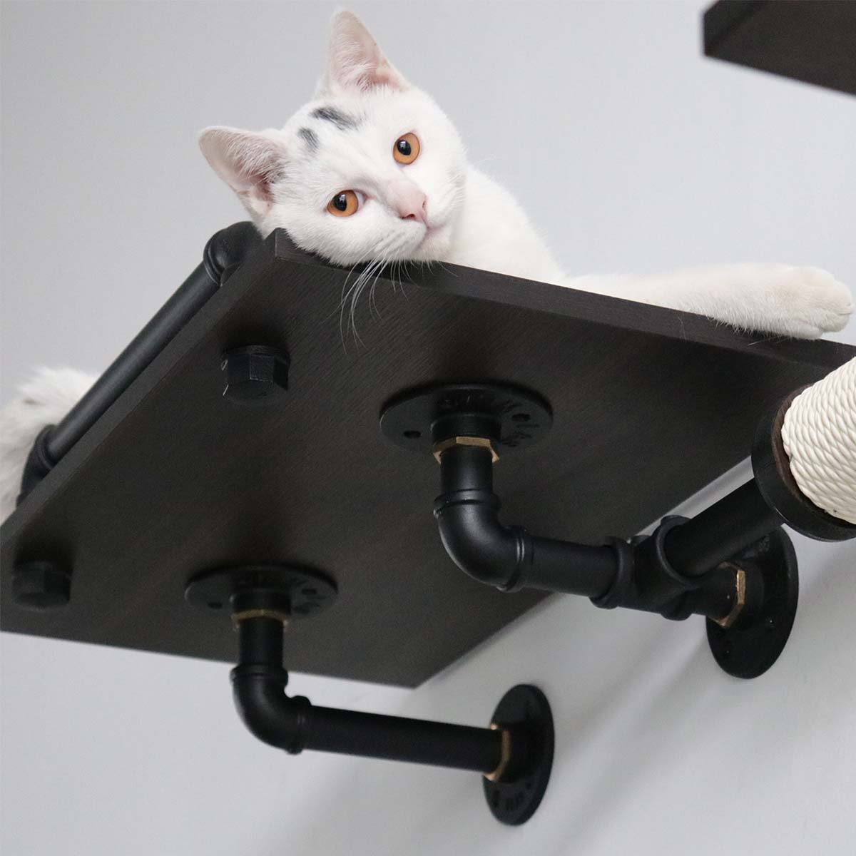 Modern Luxury Industrial Wall-Mounted Cat Shelves Set | Smoky Rubberwood