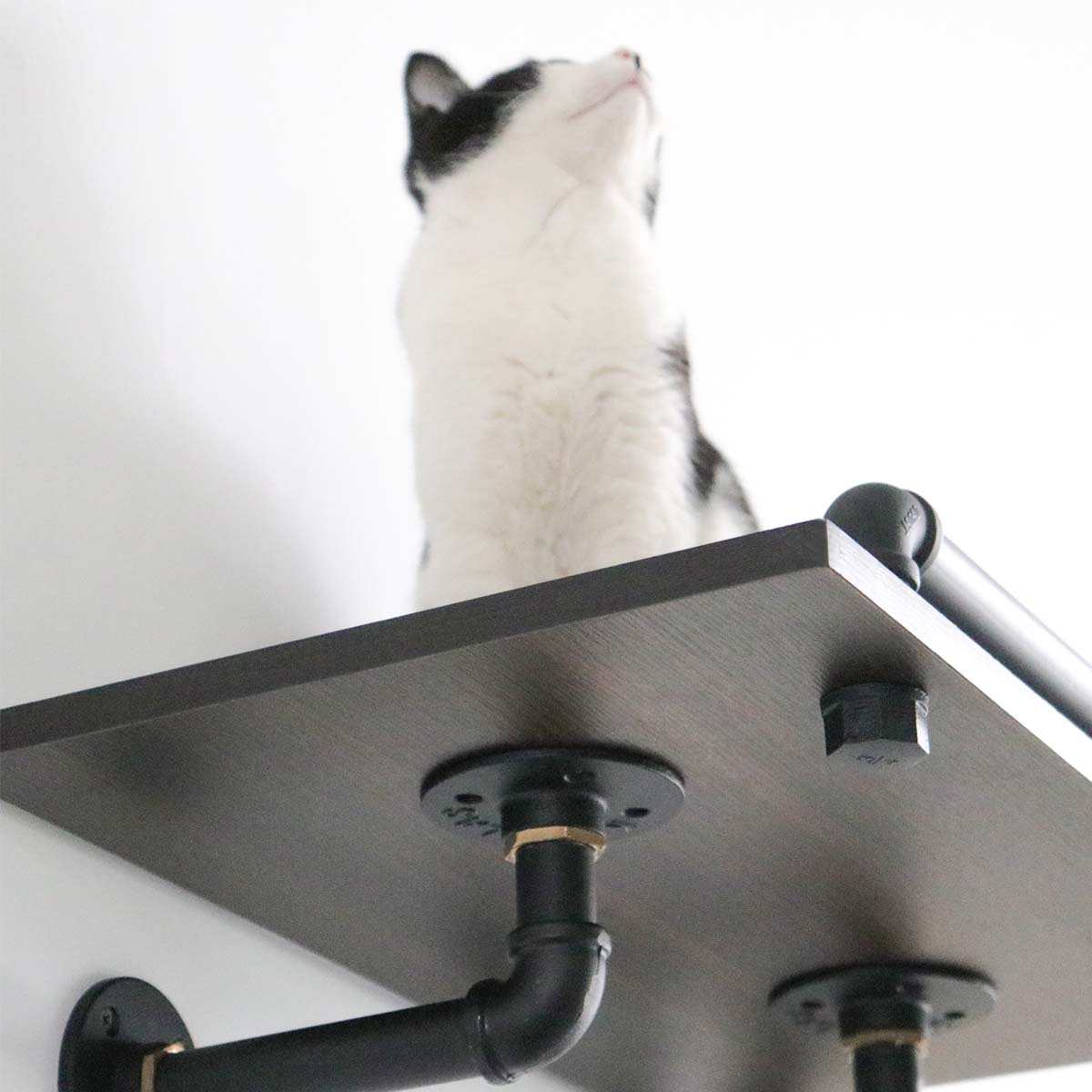 Modern Luxury Industrial Wall-Mounted Cat Shelves Set | Smoky Rubberwood