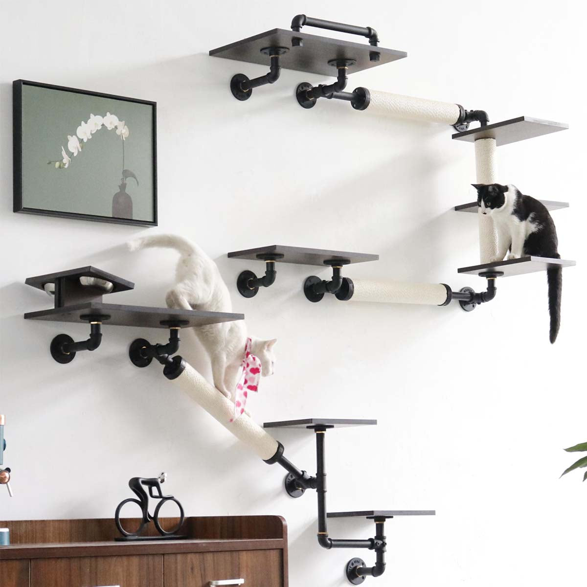 Modern Luxury Industrial Wall-Mounted Cat Shelves Set | Smoky Rubberwood