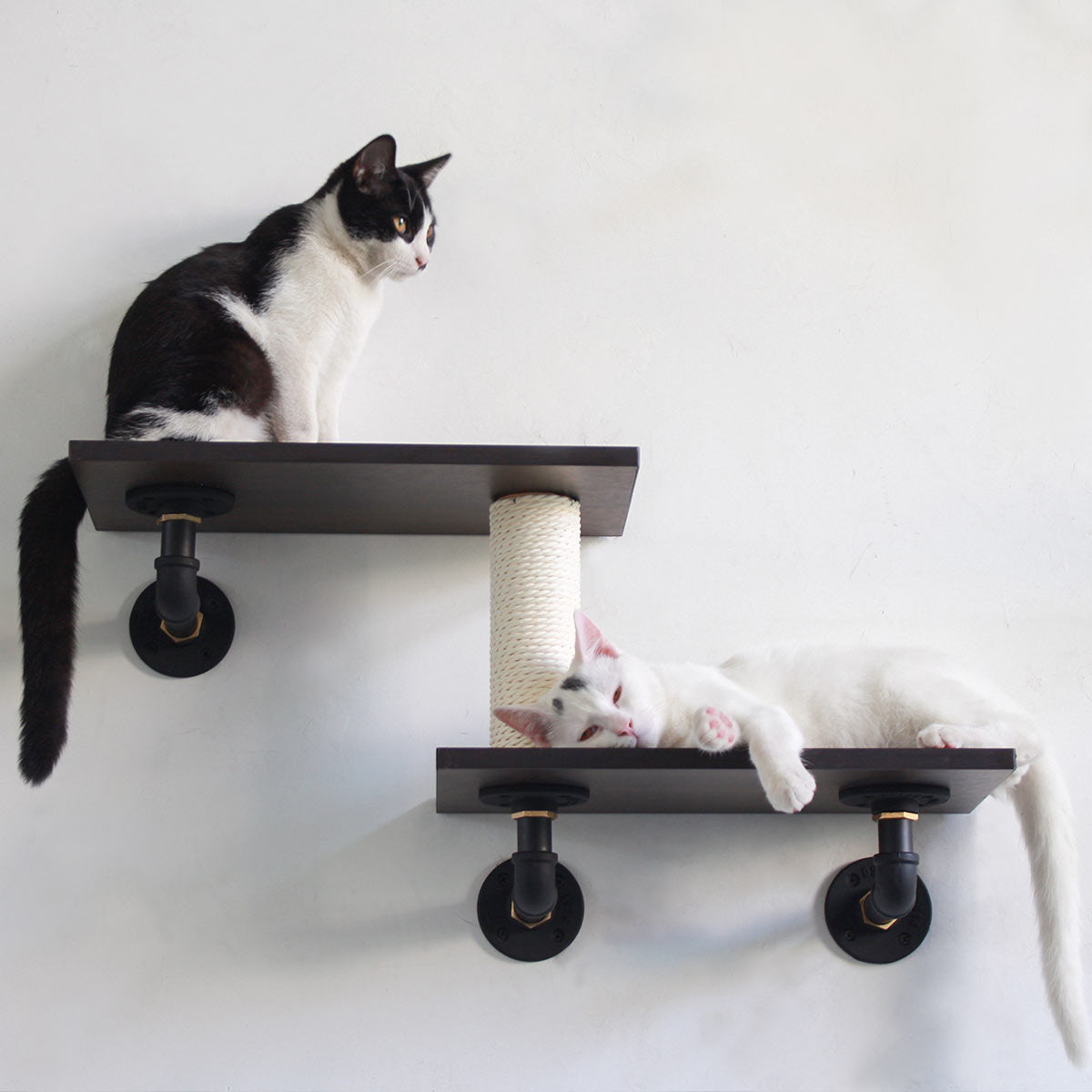 PETOMG Dual-Level Cat Climbing Shelves with Scratching Post | Smoky Rubber Wood