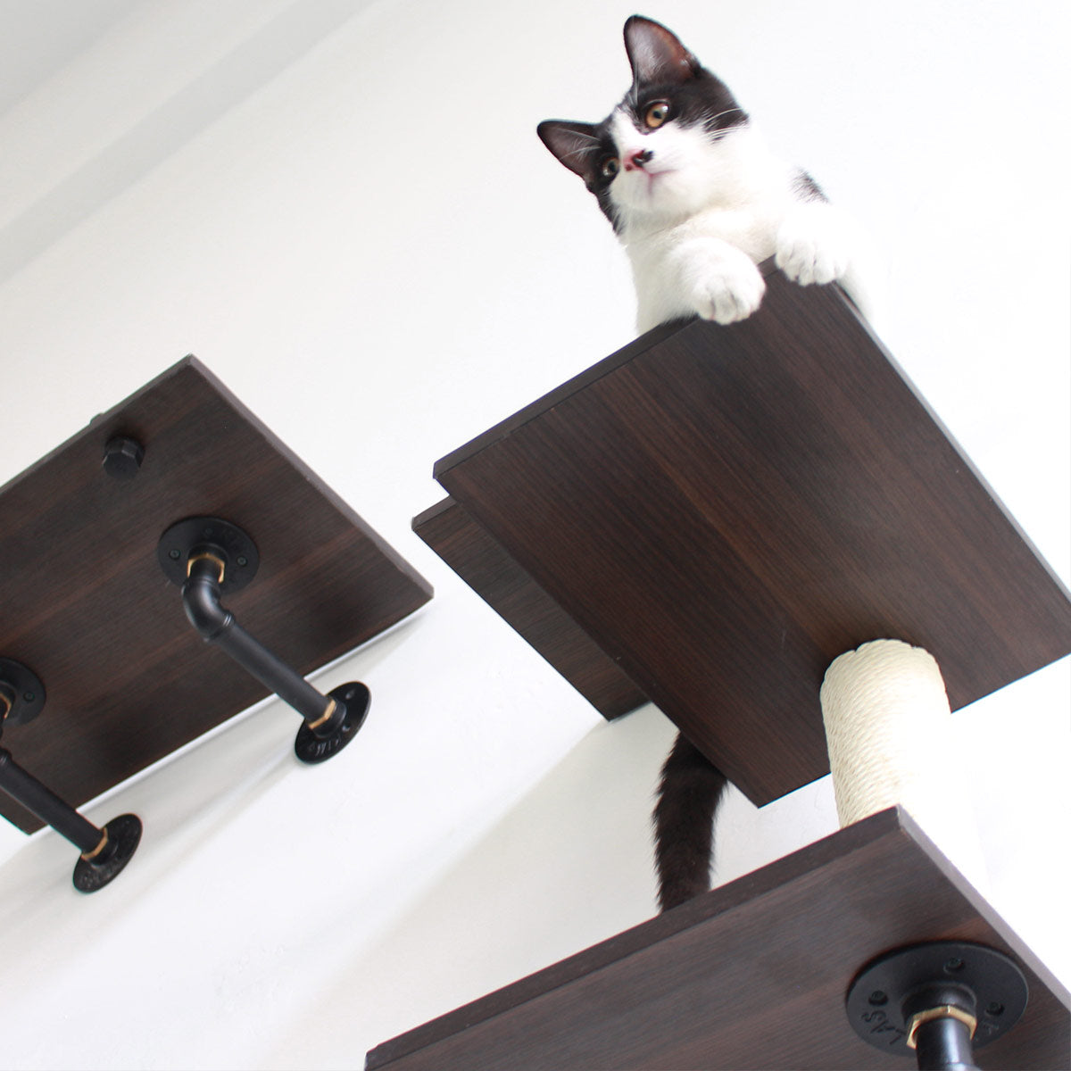 PETOMG Three-Level Wall-Mounted Cat Shelf | Smoky Color