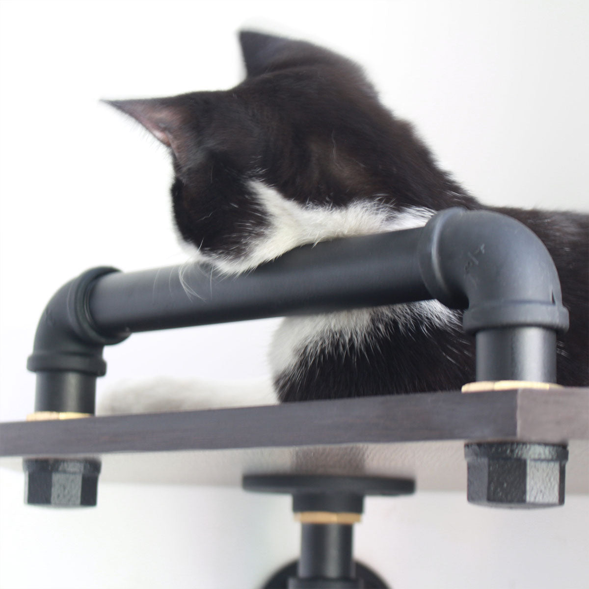 Corner Cat Wall Shelves | Rubber Wood |  Smoky