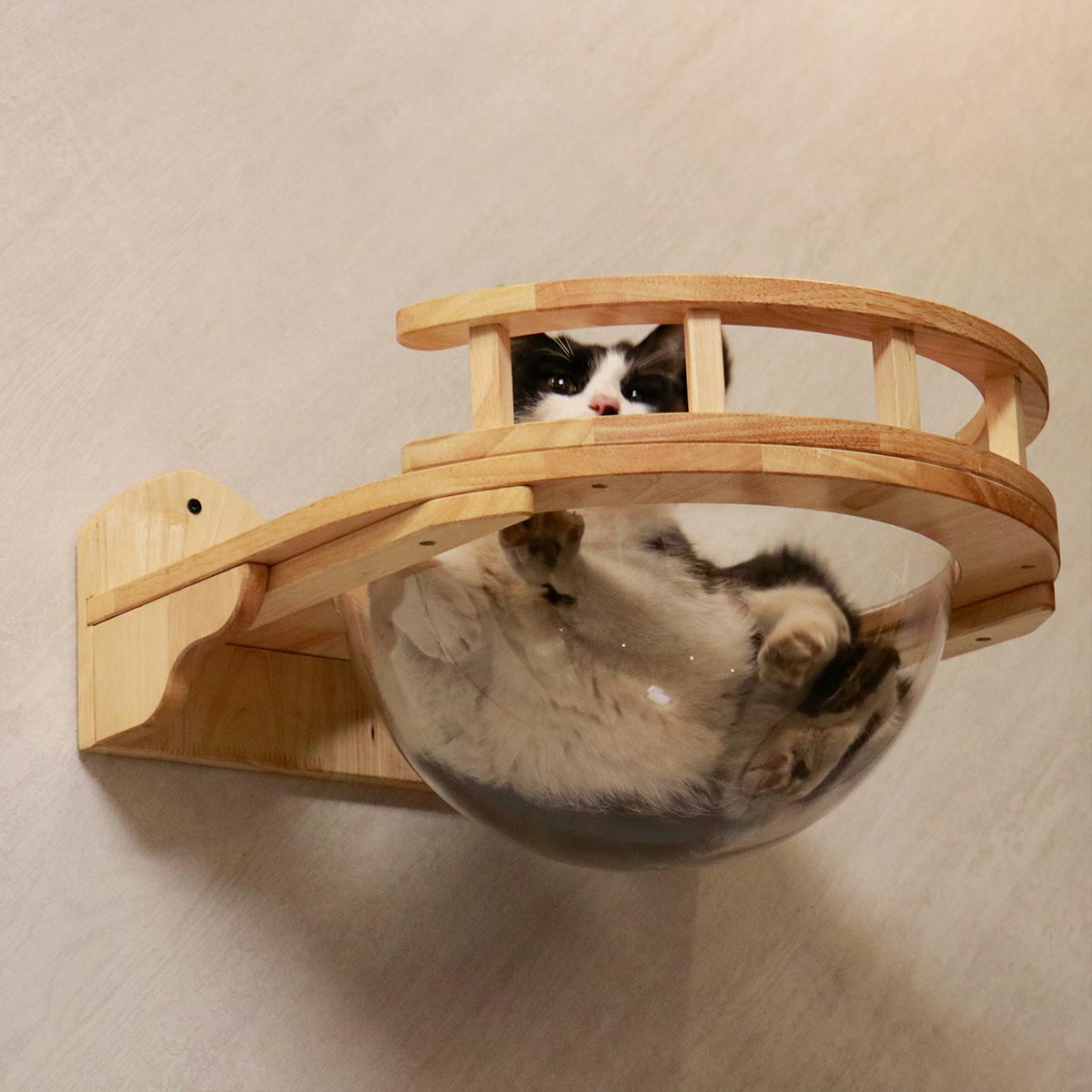 PETOMG Cat Ahven, Cat Space -kapseli, kissansänkyjen huonekalut, Cat Seinäkiinnitys | Kumipuu