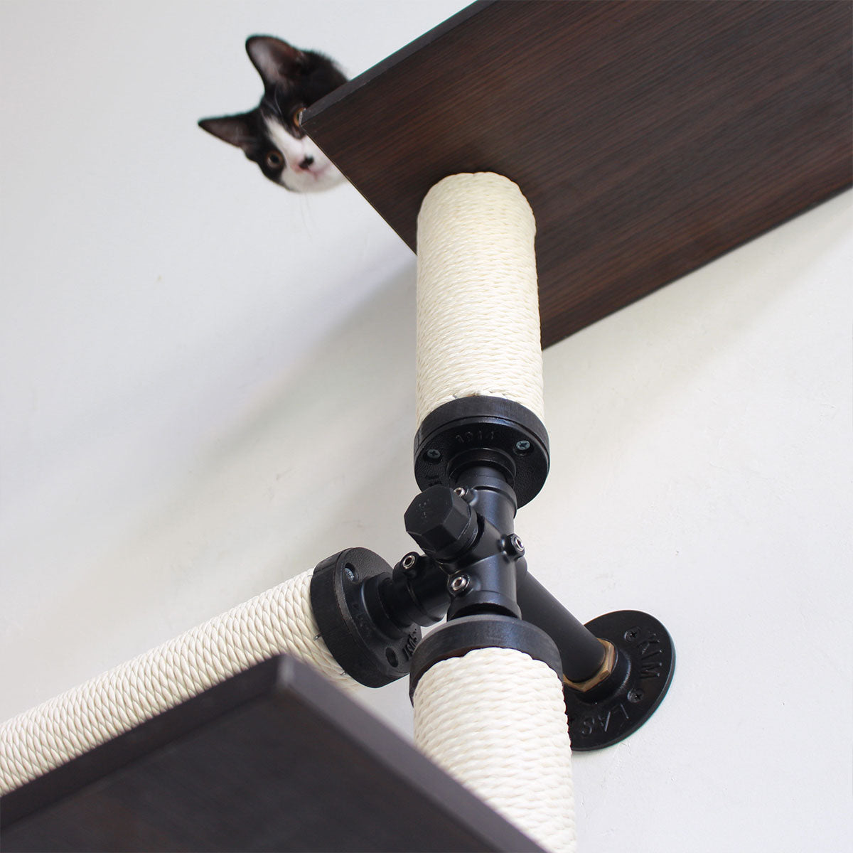 PETOMG Cat Shelves, Wall-Mounted Cat Furniture | Smoky Rubber Wood