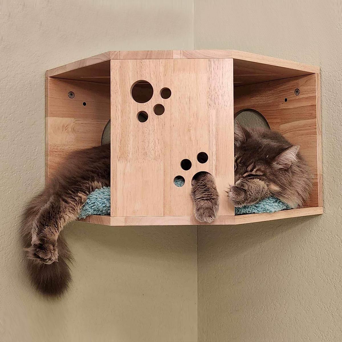 PETOMG Casa para gatos montada en la pared, estante para gatos, percha para gatos | Madera de caucho