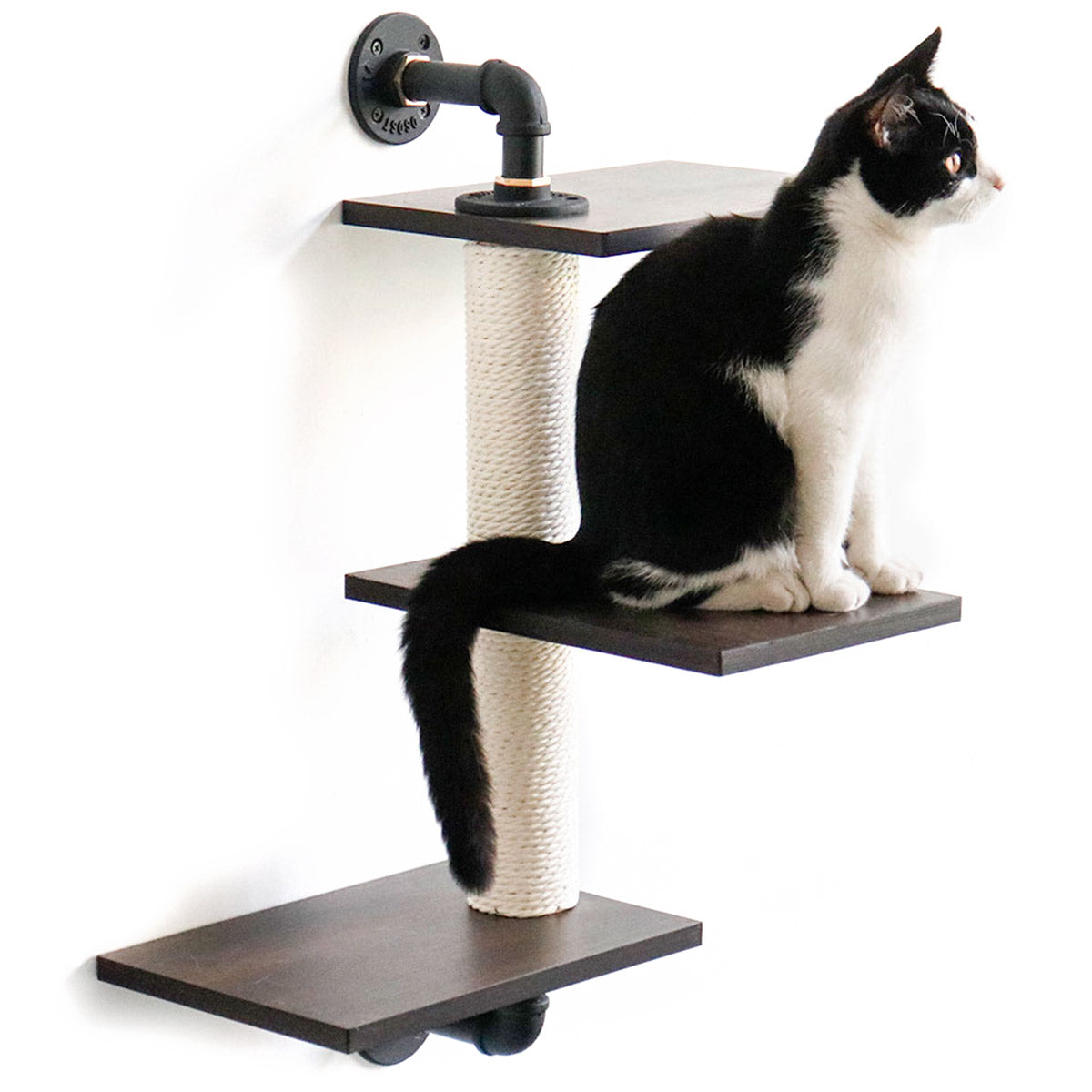 PETOMG Three-Level Wall-Mounted Cat Shelf | Smoky Color