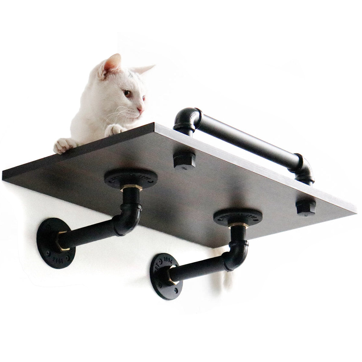 PETOMG Wall-Mounted Cat Shelves, Cat Perch, Cat Steps | Eco-Friendly Smoky Rubber Wood