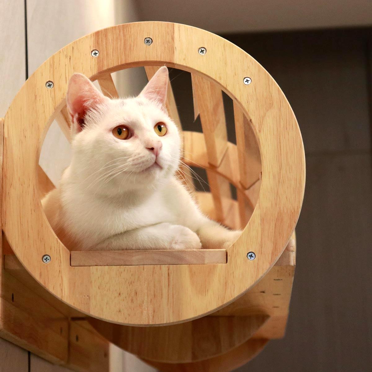 PETOMG Casa para gatos montada en la pared, muebles de pared para gatos, cama de pared para gatos | Madera de caucho