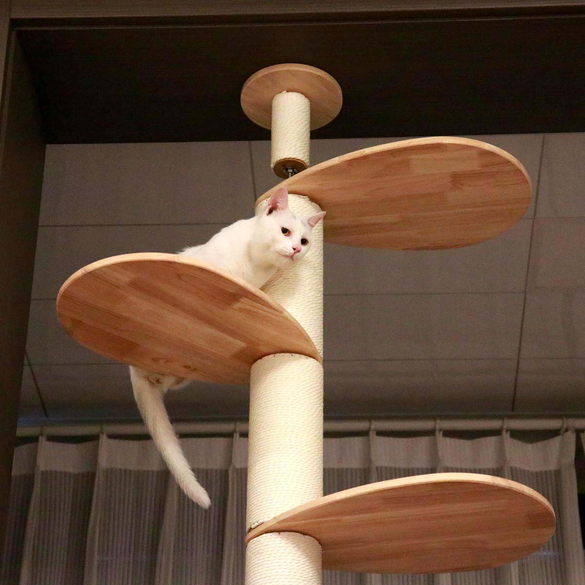 Floor to Ceiling Cat Tree | Solid Rubberwood Build | Long-Lasting Style & Strength