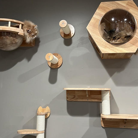 How can I securely install cat wall furniture without getting cat-astrophically tangled?