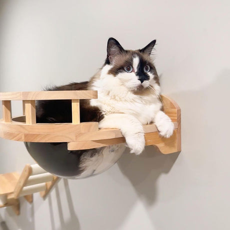 Can cat wall furniture handle a cat-tastrophic cat-plosion?