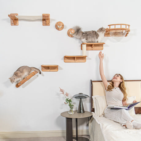 A PETOMG bedroom cat wall with multiple route and resting modules