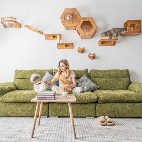 Cats using different parts of the PETOMG NC041 living-room cat wall