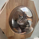 Wall Mounted Cat House