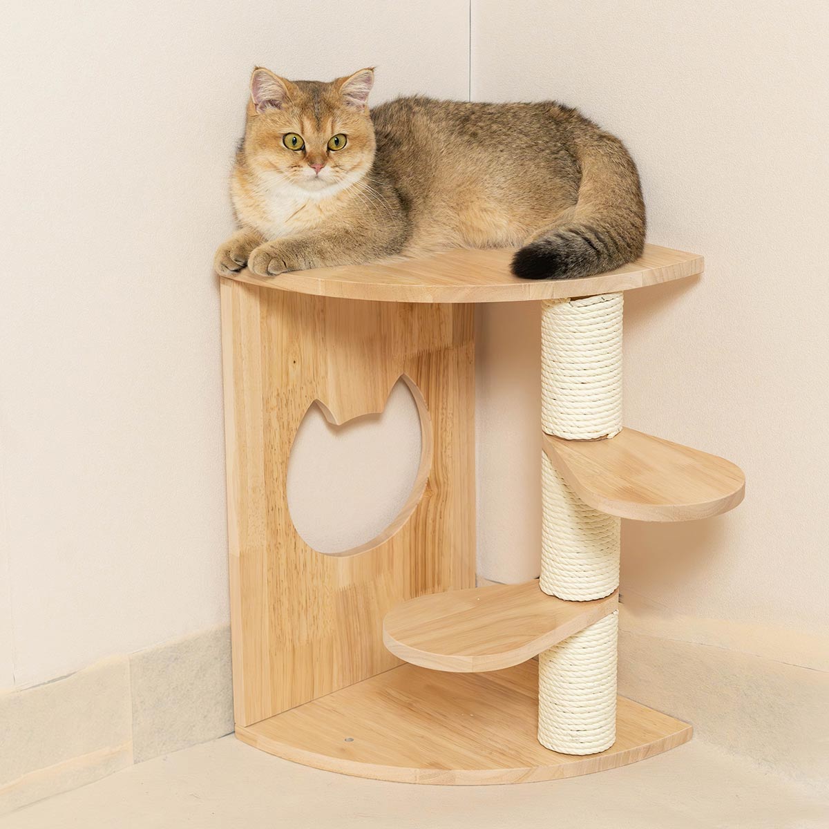 PETOMG Cat Scratching Post, Cat Wall Shelf, Cat Wall Steps | Rubberwood