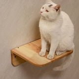 PETOMG Escalones de pared para gatos, estante para gatos, escalera para gatos, paseos para gatos | Madera de caucho