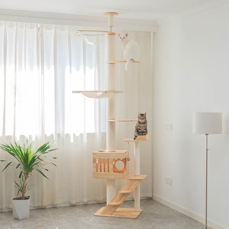 PETOMG Cat Tree Floor to Ceiling, Rubber Wood, No Drilling, Adjustable Height(230cm - 280cm)