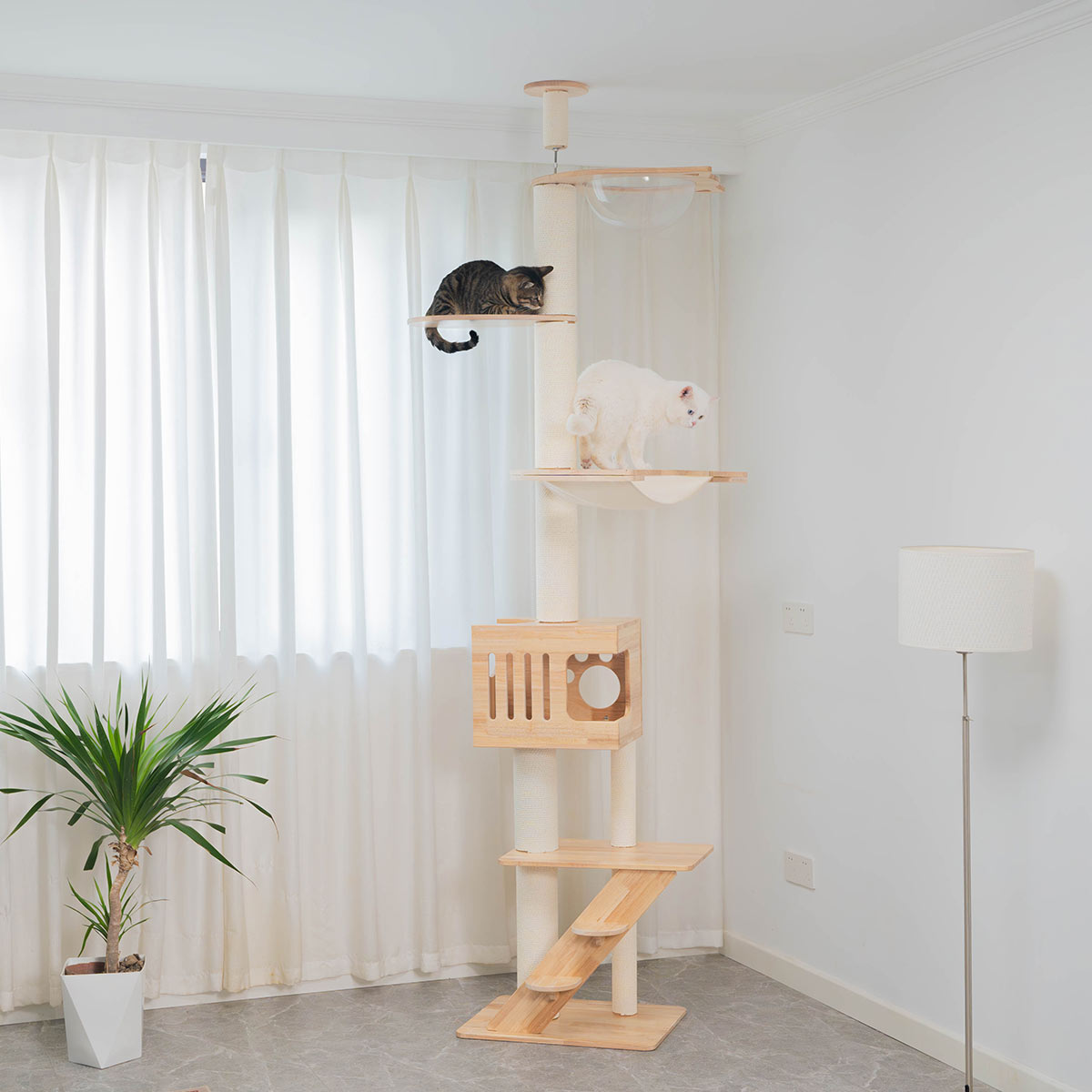 PETOMG Árbol para Gatos de Madera de Goma del Piso al Techo, sin Perforaciones, Altura Ajustable (230 cm - 280 cm)