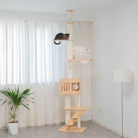 PETOMG Árbol para Gatos de Madera de Goma del Piso al Techo, sin Perforaciones, Altura Ajustable (230 cm - 280 cm)