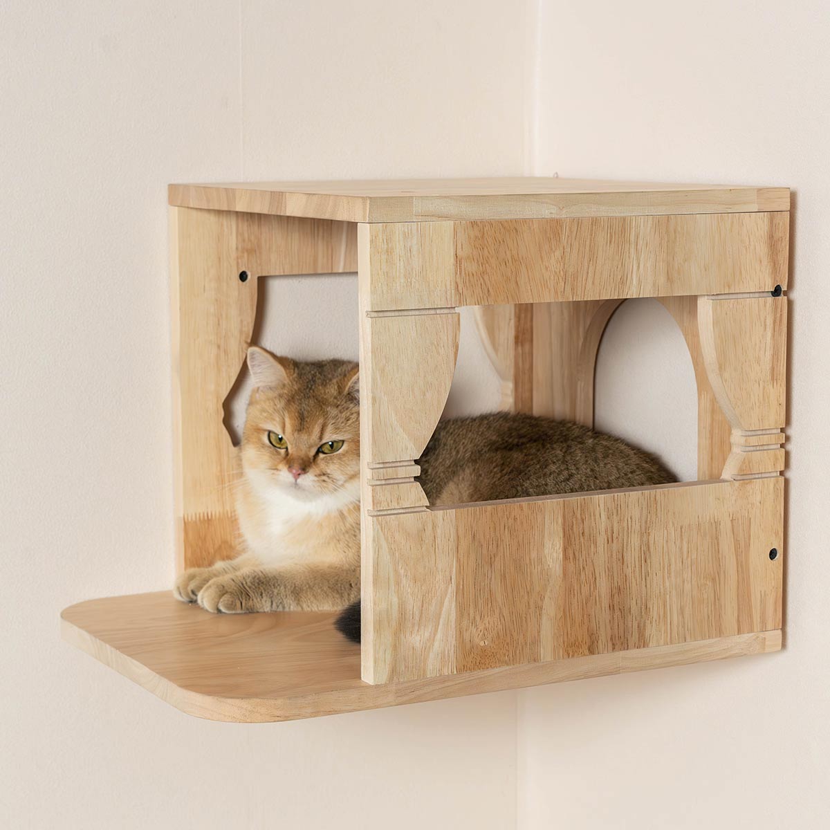 PETOMG Casa de pared para gatos, muebles de pared para gatos, estante de pared para gatos | Madera de caucho