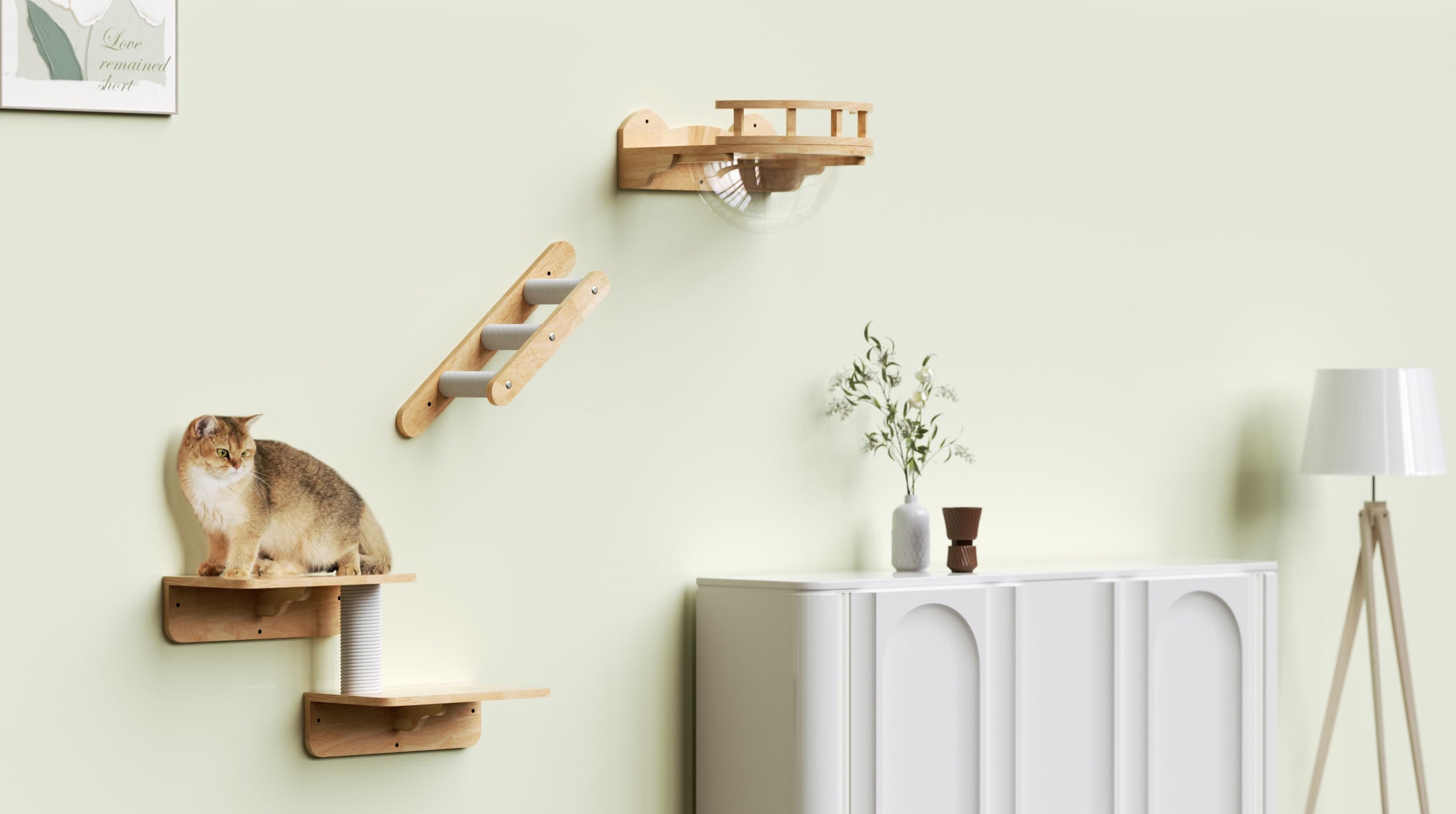 Cat Shelves Set, Cat Wall Furniture, Cat Perch PETOMG Rubberwood — free download