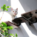 Modern Cat Wall Shelf with Scratching Posts (4PCS) | Smoky Rubber Wood