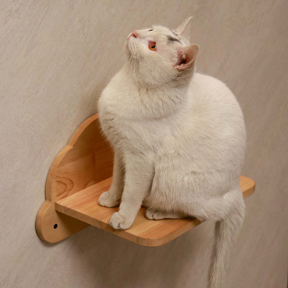 PETOMG Escalones de pared para gatos, estante para gatos, paseos para gatos, escalera para gatos | Madera de caucho