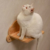 PETOMG Cat Wall Steps, Cat Shelf, Cat Walks, Cat Ladder| Rubberwood