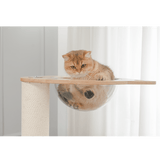 PETOMG Aesthetic Cat Tree 21.7''*16.5''*45.7'' | Rubber Wood