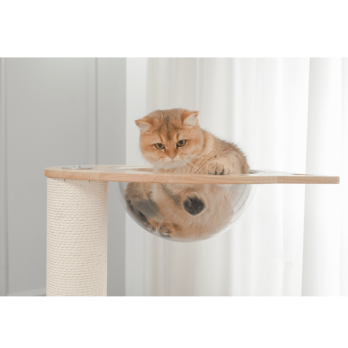 PETOMG Rubber Wood Aesthetic Cat Tree 21.7''*16.5''*57.9''