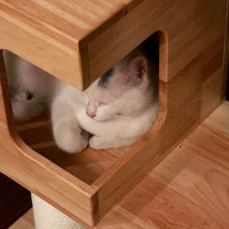 Floor to Ceiling Cat Tree | Solid Rubberwood Build | Long-Lasting Style & Strength