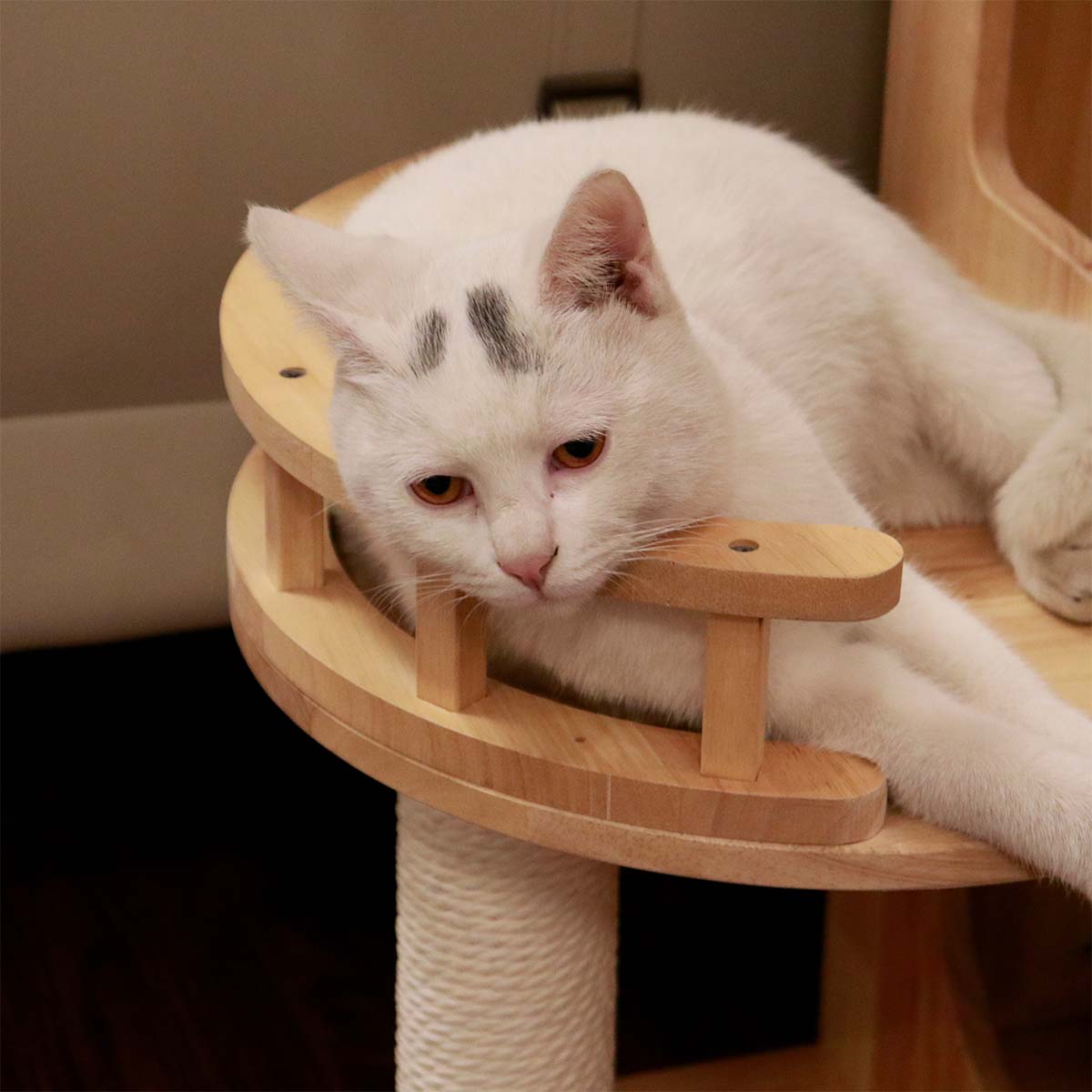 PETOMG Modern Cat Tree, Cat Huonekalut, Cat House| Kumipuu