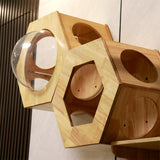 Hexagon Cat Shelf Set, Cat Wall Furniture for Large Cats