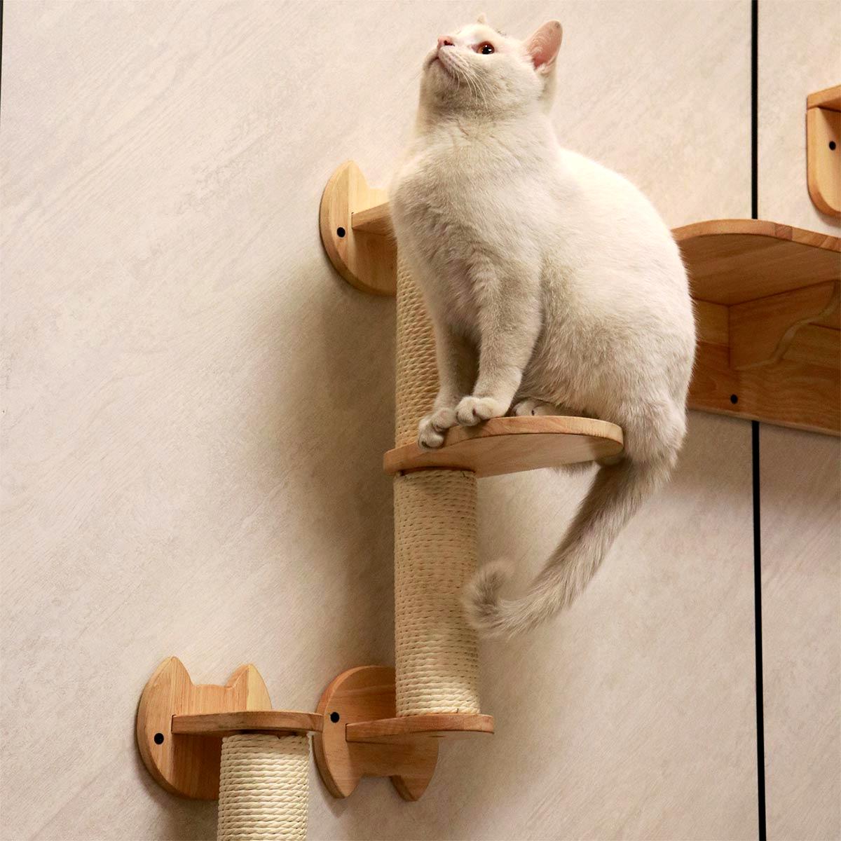 Modular Wall-Mounted Cat Furniture | Hexagonal Cat House & Climbing System | Space-Saving Design