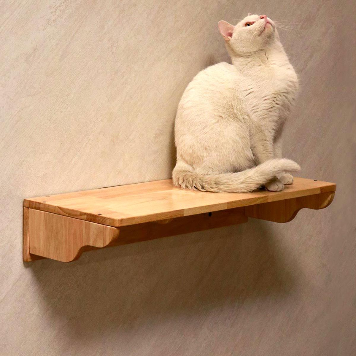 Percha para gatos montada en la pared, cápsula espacial de pared para gatos (juego de esquina)