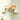 PETOMG Iso kissanahven, Suuri kissan seinäsänky, kissan avaruusalus| Kumipuu