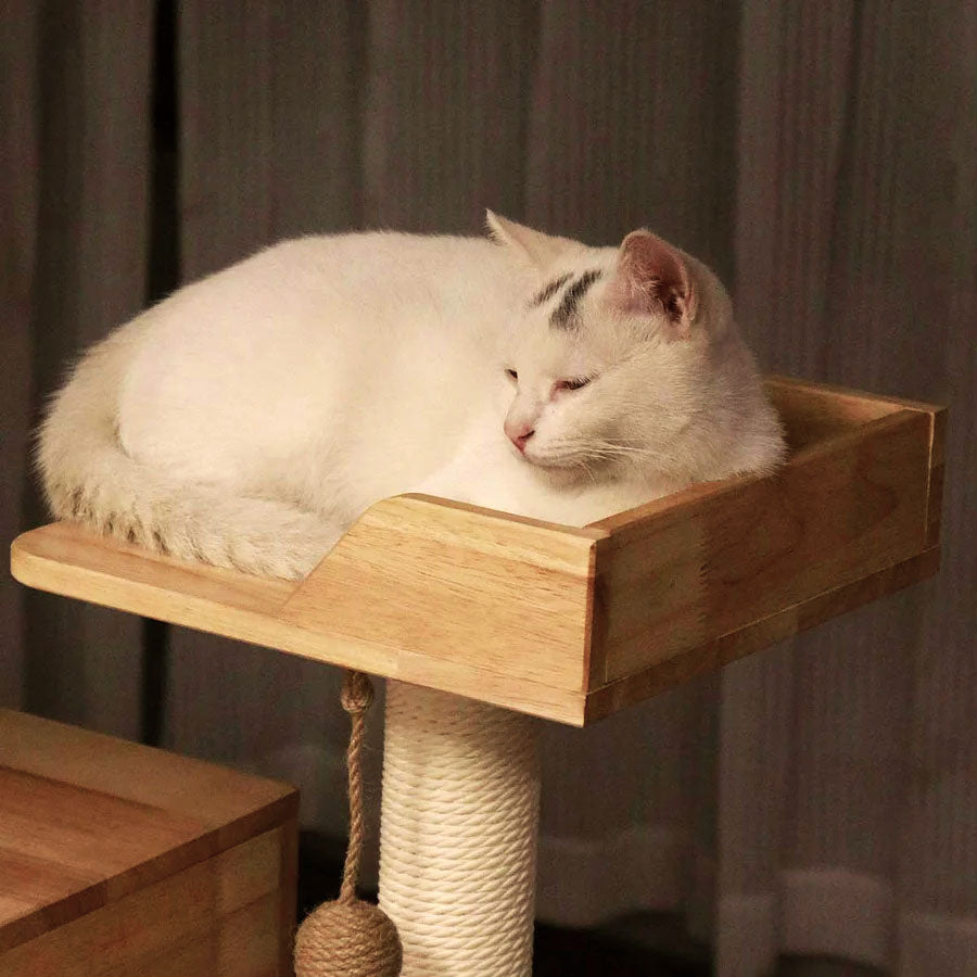 Floor to Ceiling Cat Tree | Solid Rubberwood Build | Long-Lasting Style & Strength