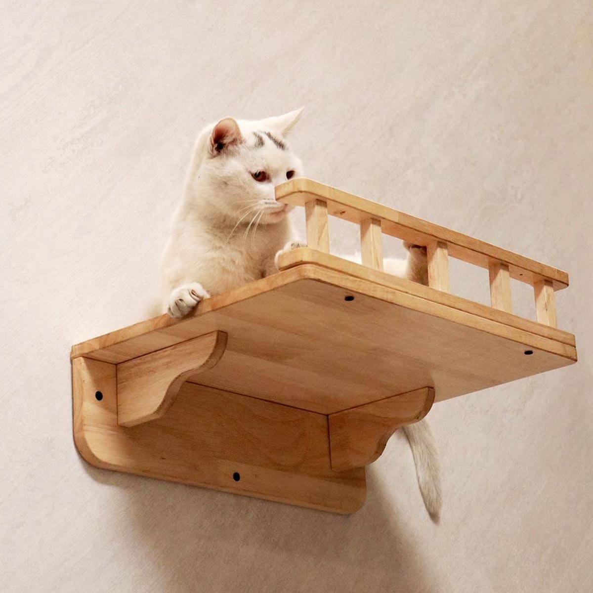 PETOMG Rubberwood Cat Shelves, DIY Cat Shelves | Cat Wall Mounted Set