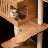 PETOMG Ceiling to Floor Cat Tree, Rubber Wood, No Drilling, Adjustable Height (90.6'' - 110.2'')