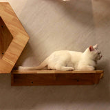 PETOMG Escalones de pared para gatos, paseos para gatos, escalera para gatos, estante de pared para gatos | Madera de caucho