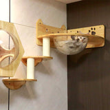 Modular Wall-Mounted Cat Furniture | Hexagonal Cat House & Climbing System | Space-Saving Design