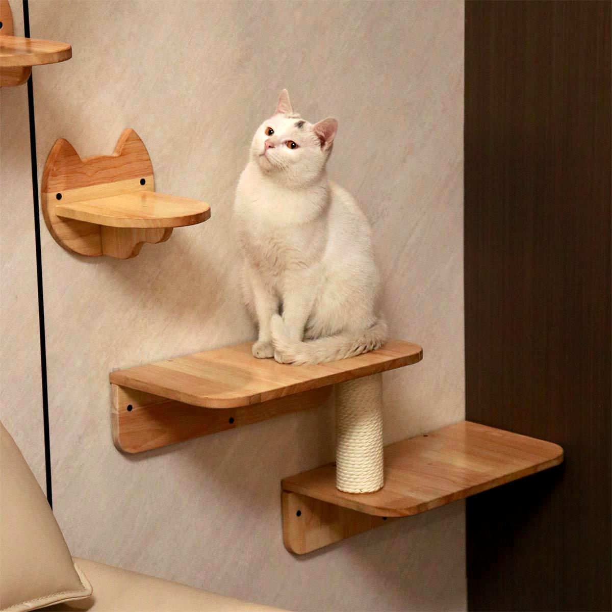 Hexagonal Wall-Mounted Cat Furniture Set | Modular Design with Transparent Domes | Perfect for Active Cats