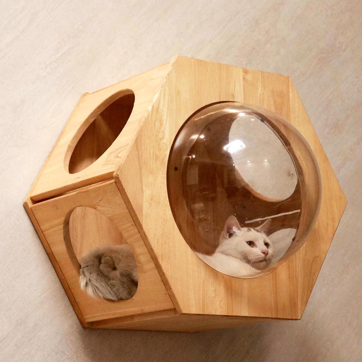 Hexagon Cat Shelf Set, Cat Wall Furniture for Large Cats | Rubber Wood