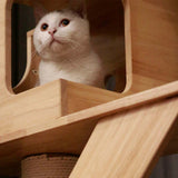 PETOMG Ceiling to Floor Cat Tree, Rubber Wood, No Drilling, Adjustable Height (90.6'' - 110.2'')