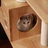 PETOMG Rubber Wood Ceiling to Floor Cat Tree, No Drilling, Adjustable Height (90.6'' - 110.2'')